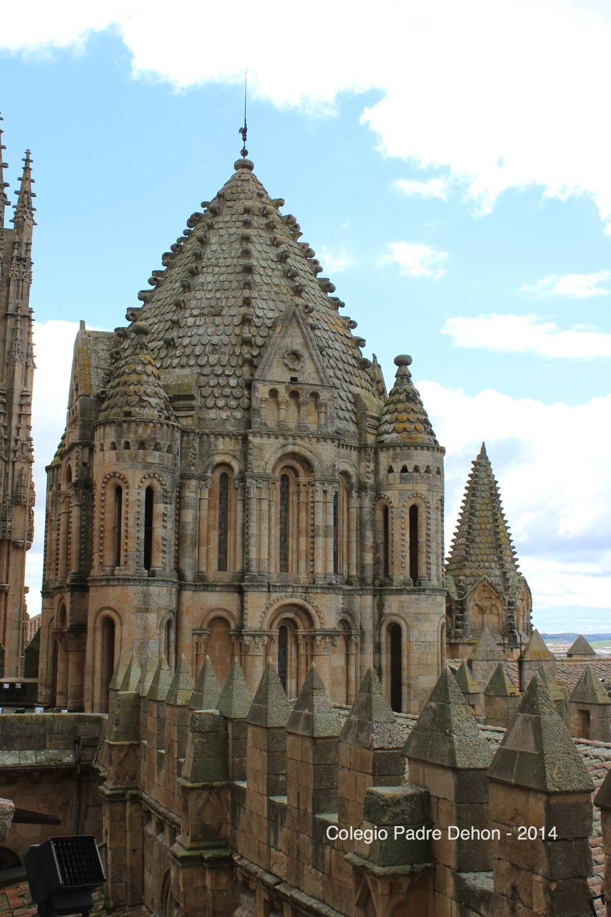 2014 03 22 SALAMANCA IERONIMUS CATEDRAL TORRE DEL GALLO (101)